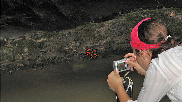 Catching butterflies