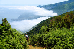 Wandern über den Wolken