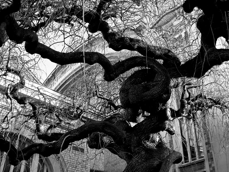Nature et culture