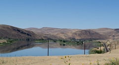 Idaho Snake River (#0120)