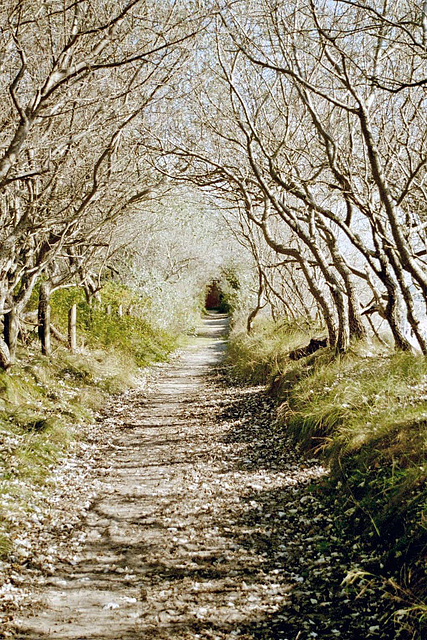 Tunnelblick auf Föhr