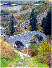 1-P1160586 - Eselrückenbrücke über die Reuss