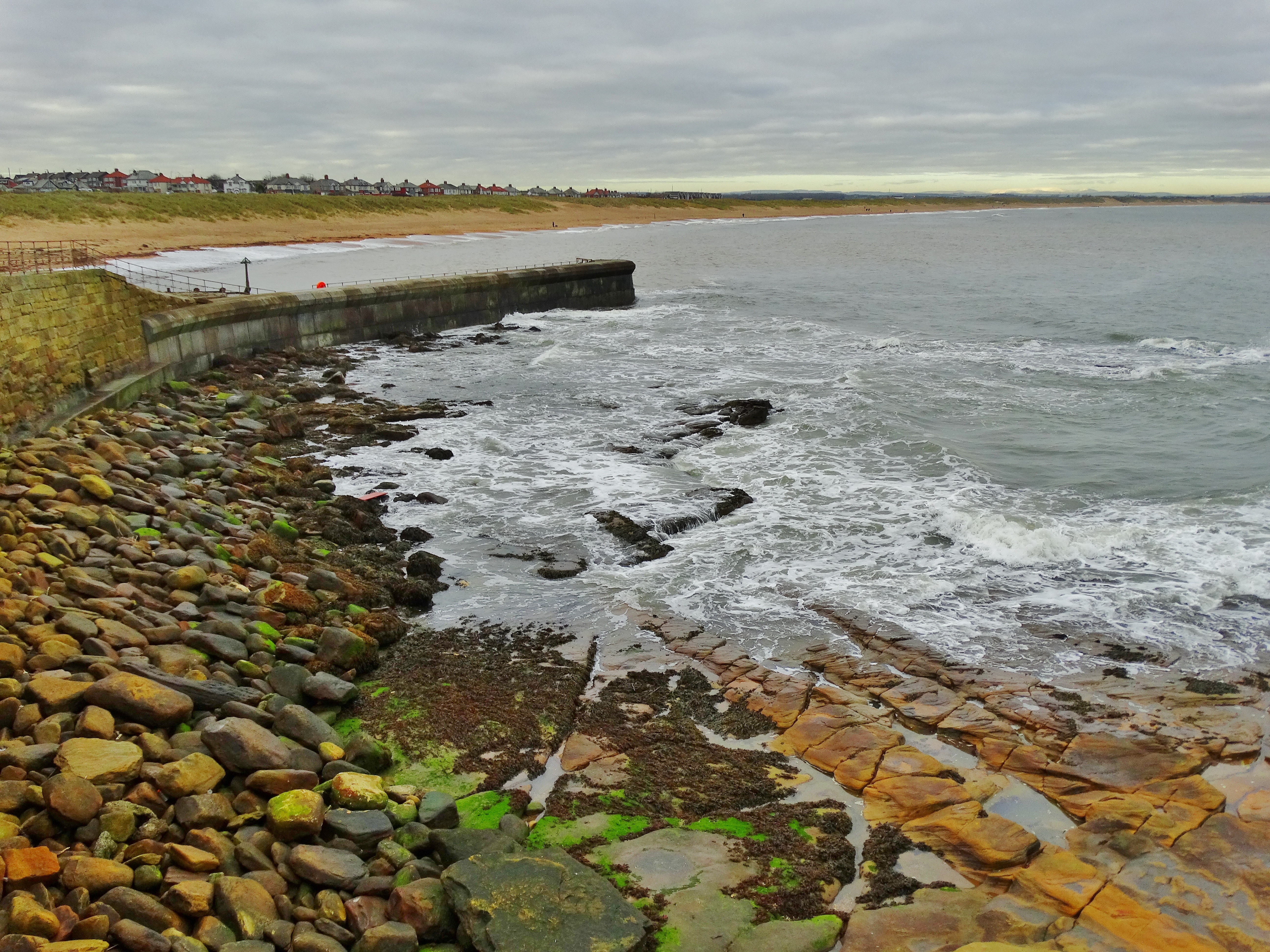 Sweeping Northward. Northumberland Coast