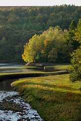 Waters from Walker's Clough