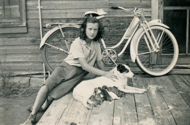 Girl with Bicycle, Dog, and Puppies