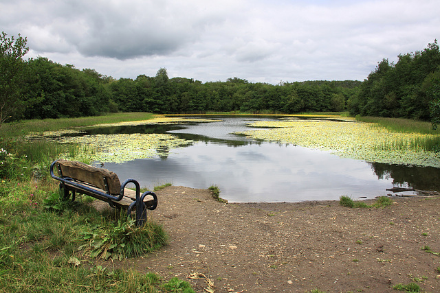 Lower Lake