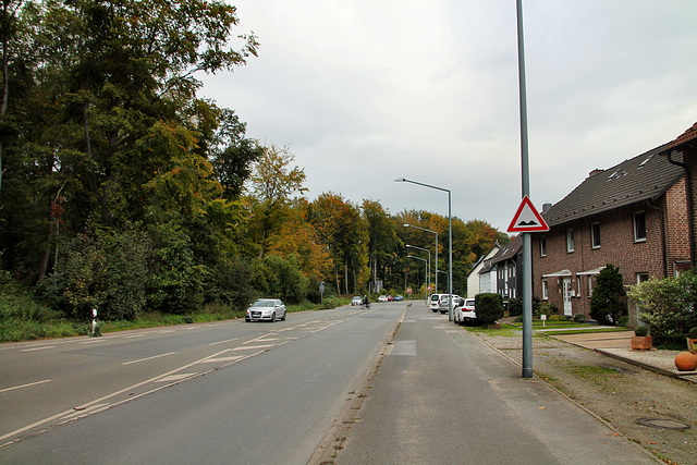 Herner Straße (Herten) / 17.10.2020
