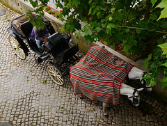 Sintra III - Waiting their turn to do the tour