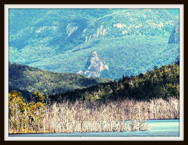 Advance Town Hinze Catchment