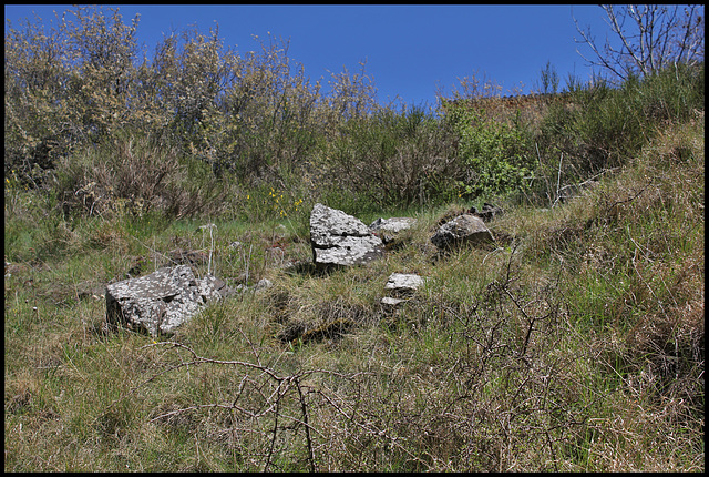 Talus rocheux
