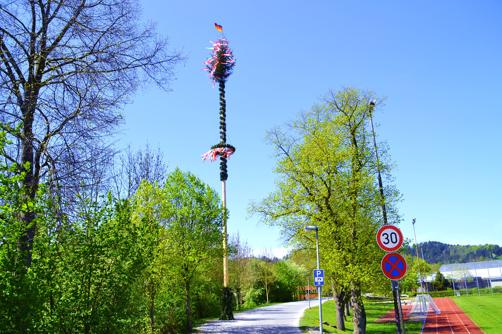 Gaildorfer Maibaum