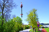 Gaildorfer Maibaum