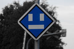 IMG 3156 3©IngoKrehl
