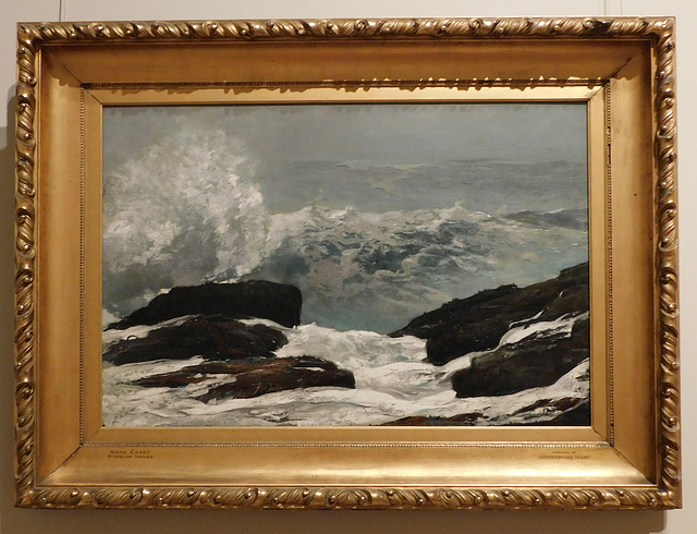 Maine Coast by Winslow Homer in the Metropolitan Museum of Art, February 2020