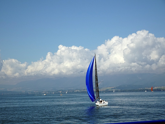 Sailing auf dem Neuenburgersee