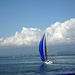 Sailing auf dem Neuenburgersee
