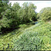 Seacourt Stream at Botley