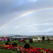 Rainbow over the West Sands