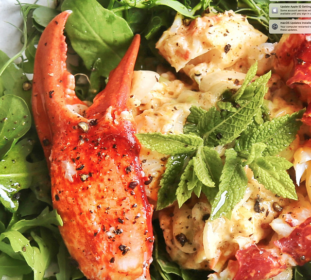 lobster salad 15:6:2020 2