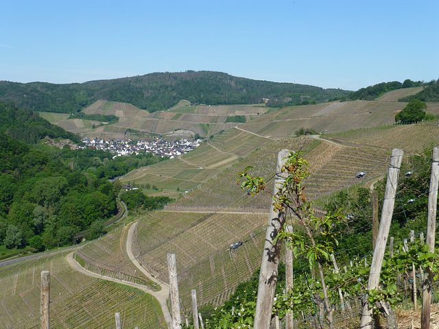 Blick Richtung Dernau