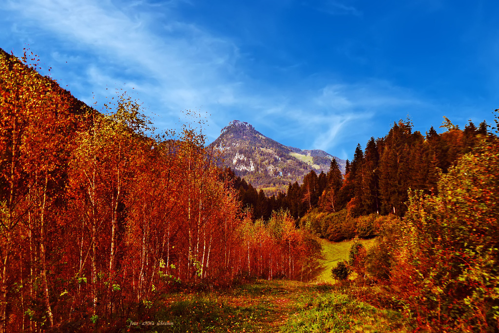 la terra su cui vivo