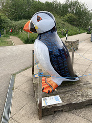 Puffin statue at RSPB Bempton Cliffs