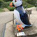 Puffin statue at RSPB Bempton Cliffs