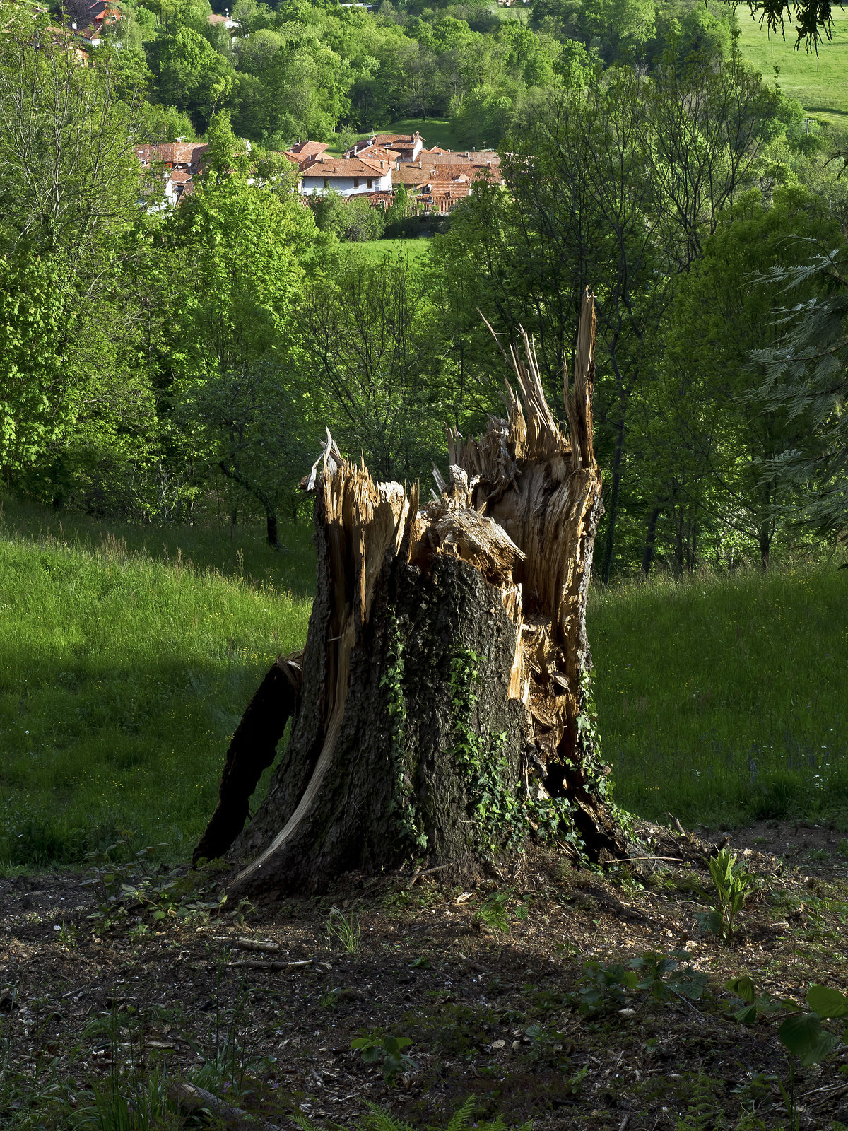 The monument to the storm