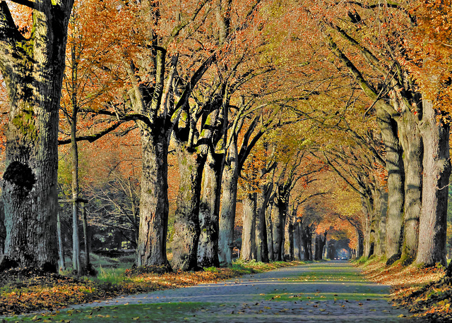 Der Herbst zeigt seine Farben