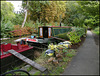 homes by the towpath