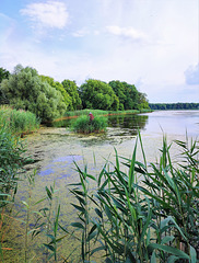 Idylle am Stadtsee...