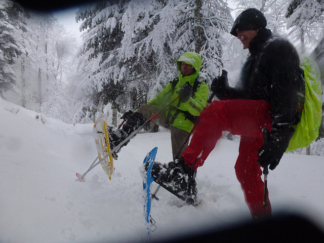 20150221 Raquettes Vercors Col de la Machine (50) al