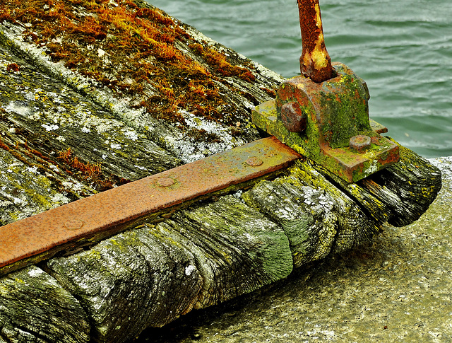 Crumbling and rotting gangway at Royal Quays Marina. Crumbling and rotting gangway at Royal Quays Marina.