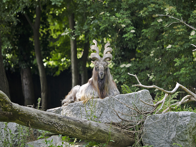 La Torbiera, Faunistic Park, Agrate Conturbia, Novara