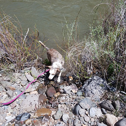 20190602 141253 20190602 141253