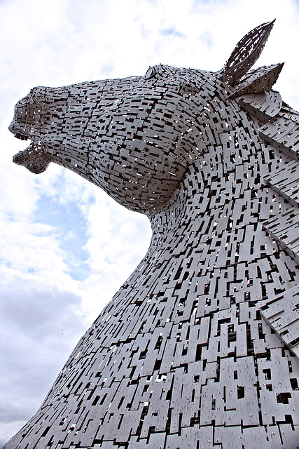 Kelpie Horses,Helix Park,Falkirk 10th September 2019.