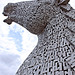 Kelpie Horses,Helix Park,Falkirk 10th September 2019.