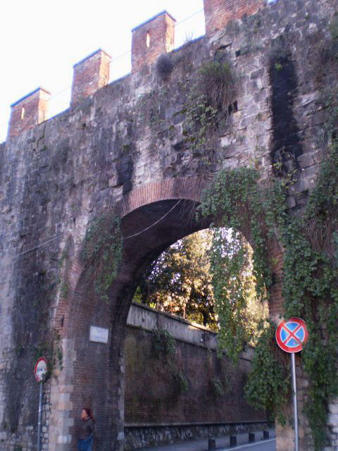 Saint Ranierino Doorway.