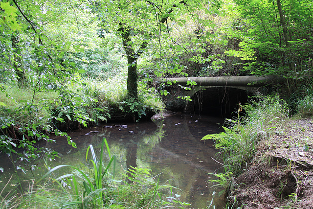 Cadle Bridge