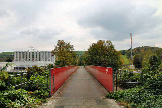 Ehem. RBH-Zechenbahn, Brücke über der A2 (Herten) / 17.10.2020