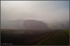 Nebel über dem Wilischtal