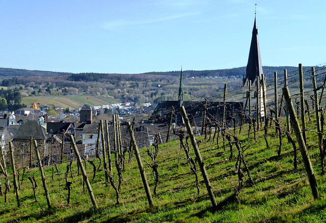 Blick auf Ahrweiler