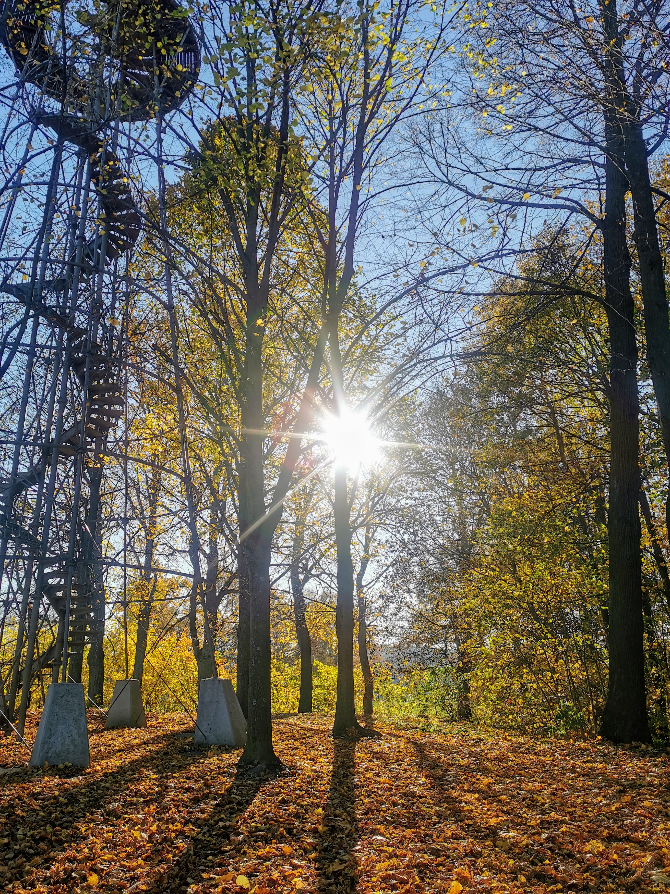 Götzinger Höhe - Neustadt /Sachsen