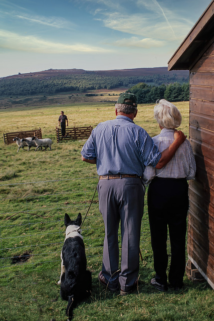 Longshaw Sheep Dog Trials