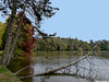 Parc du Château de Bouges (Indre) France