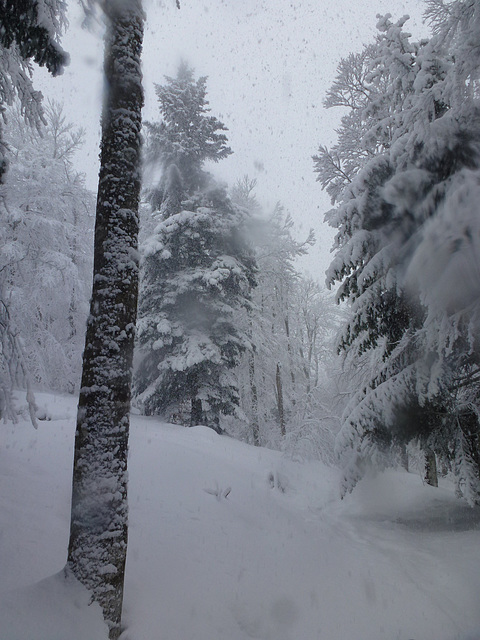 20150221 Raquettes Vercors Col de la Machine (53) al