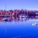 River Leven Reflection - IRChrome