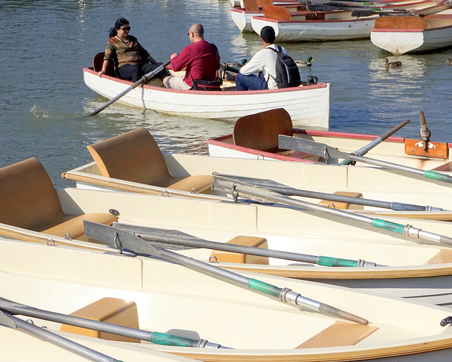 Rowing, Versailles