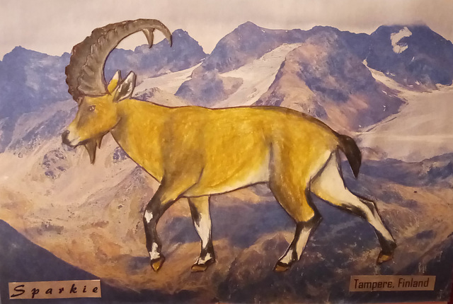 Ibex