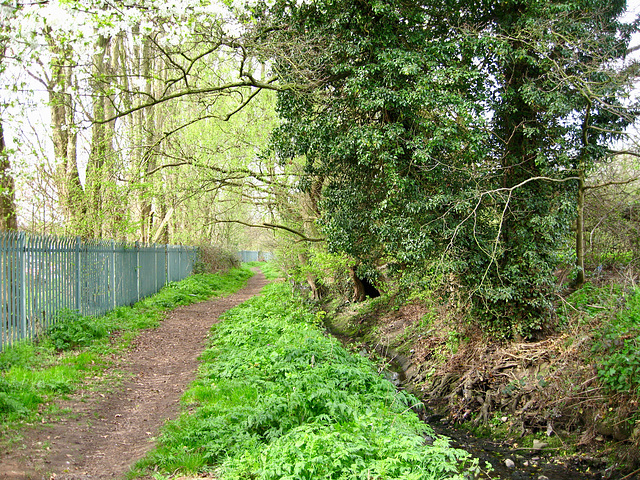 Tene Brook on its way to join the Smestow